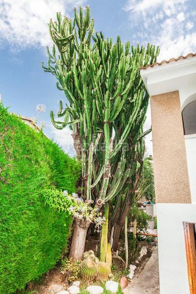 Foto 87d77520-af50-4ad9-9139-1111ff7c3ba4. Chalet en Mas Mel Calafell