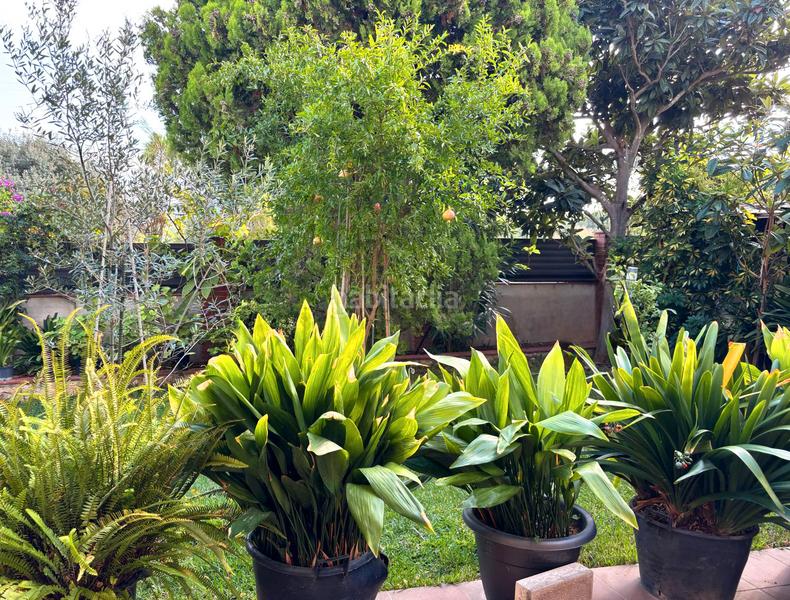 Foto 47cfd2a0-a11a-4542-9e5c-c9b88b716df9. Chalet dans Calafell poble Calafell