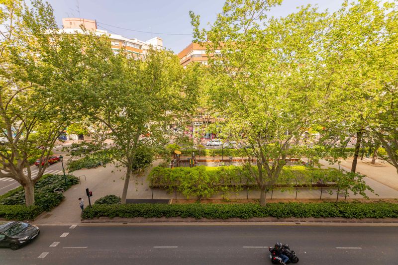 Foto dd08cfce-7ad1-4870-a1ad-38e9b9386a48. Pis a La Petxina Valencia