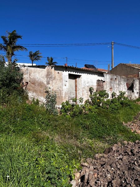 Foto 87e1a618-8225-4a04-bdce-f19f9b20c137. Finca rústica a El Romeral-Peñón de Zapata Alhaurín de la Torre
