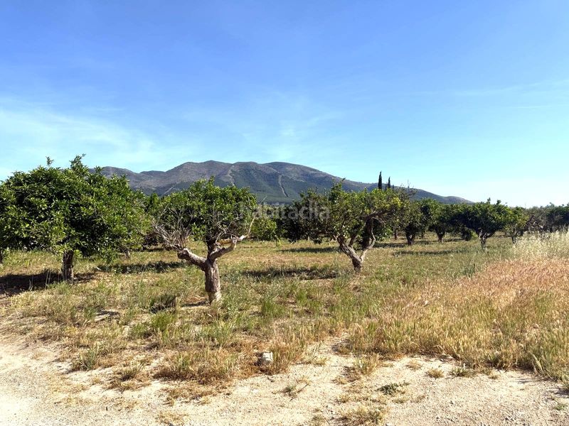 Foto 3bf5c292-b6c3-4697-96db-e9d099d25241. Finca rústica a Centro Alhaurín el Grande