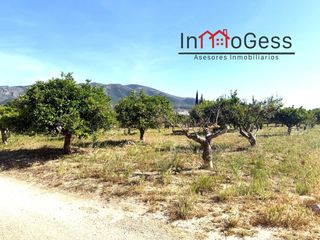Finca rústica  Calle cruz de san roque 17. Se vende terreno en alhaurín el grande