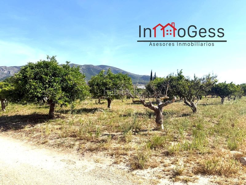 Foto e1c543ef-317e-44d0-a87b-d946d747f071. Finca rústica a Centro Alhaurín el Grande