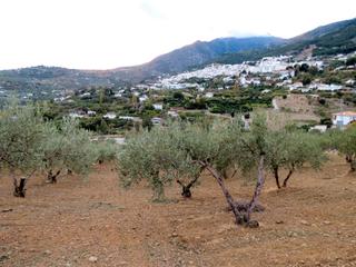 Finca rústica a Casarabonela. Venta terreno rustico casarabonela