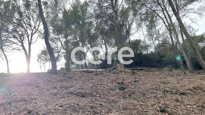 Foto 0979e576-327d-4aee-8404-c283c64fd551. Residential plot in El Racó-Sant Feliu del Racó Castellar del Vallès