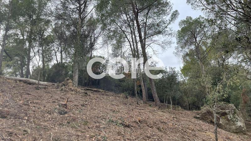 Foto 655bb411-4611-4dbc-9938-2a2a55e8d3fb. Residential plot in El Racó-Sant Feliu del Racó Castellar del Vallès