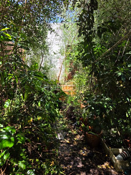 Foto 55eb92b5-6ee5-49ed-9017-f13c393fd478. Casa amb aparcament a Pescadores - Saladillo Algeciras