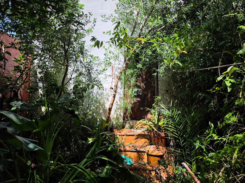 Foto ade29697-a619-497d-88ea-c78fc309c89c. Casa amb aparcament a Pescadores - Saladillo Algeciras