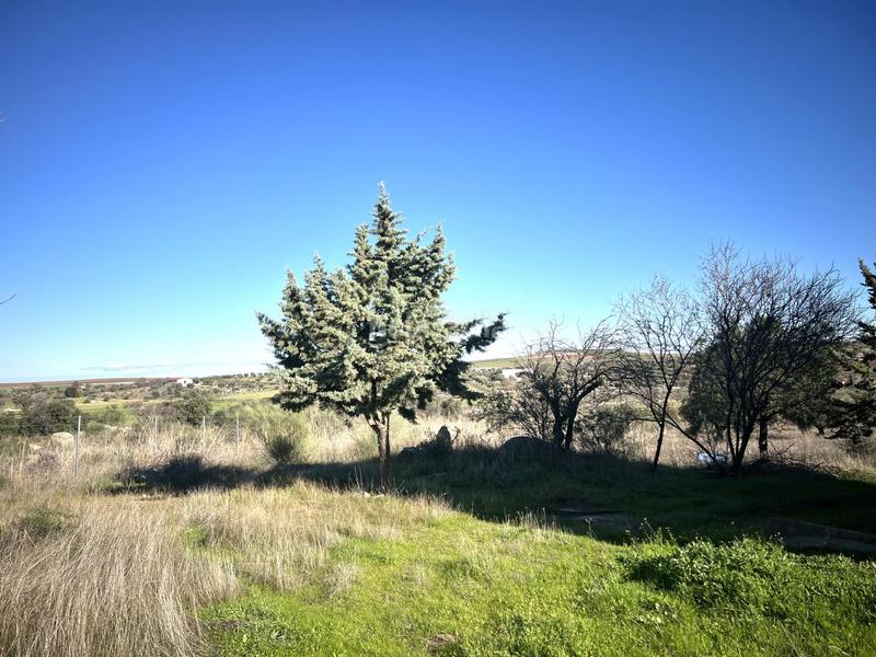 Foto 3eead935-a68a-40ae-ab3d-49e1992fdfc0. Chalet en Haba (La)