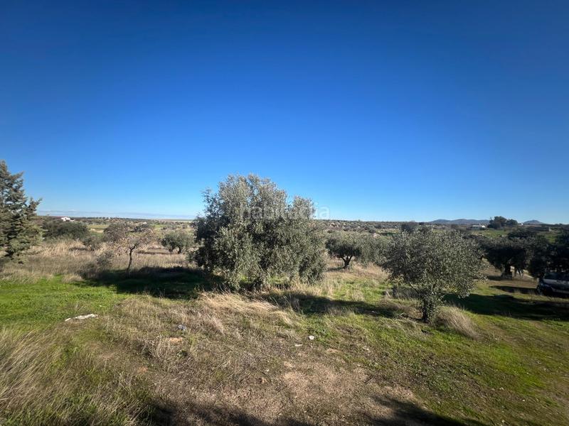 Foto 44992123-4896-49c7-8a1d-8ec6ed0c1c57. Chalet en Haba (La)