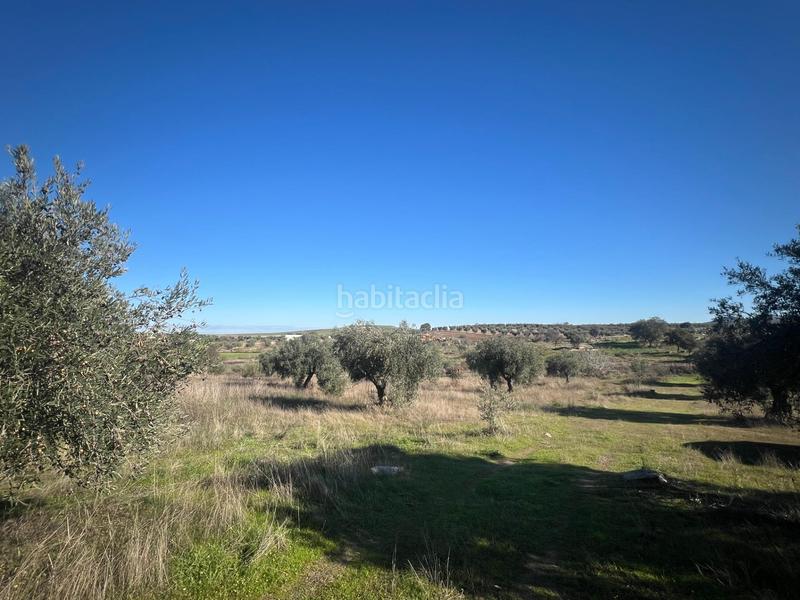 Foto 9ee64129-52e5-487b-9812-03e1fb32163f. Chalet en Haba (La)