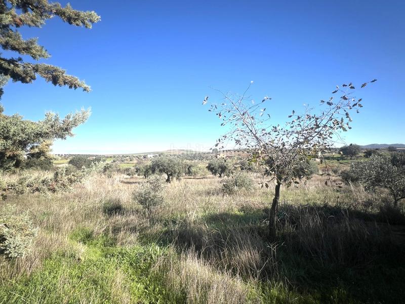 Foto aa04b439-c327-4593-8cd7-cd6fec61f87e. Chalet en Haba (La)