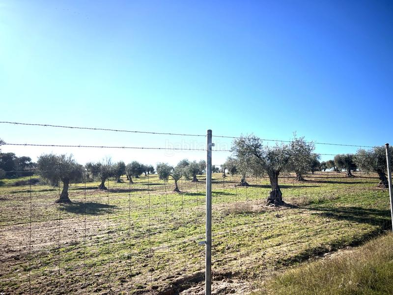 Foto baabe308-99ef-46c6-b46e-46c7dda65a03. Chalet en Haba (La)