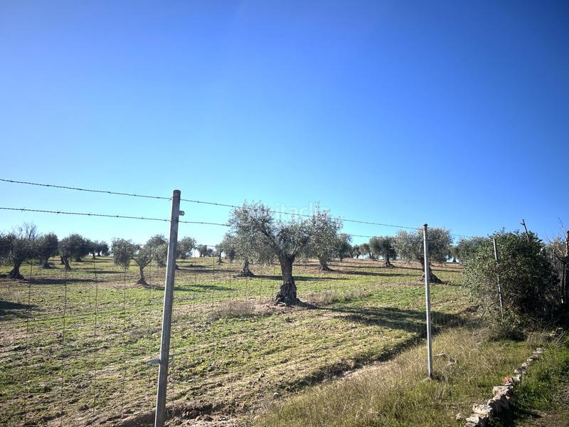 Foto df711bc6-83e1-4706-920f-1c80e67ae9df. Chalet en Haba (La)