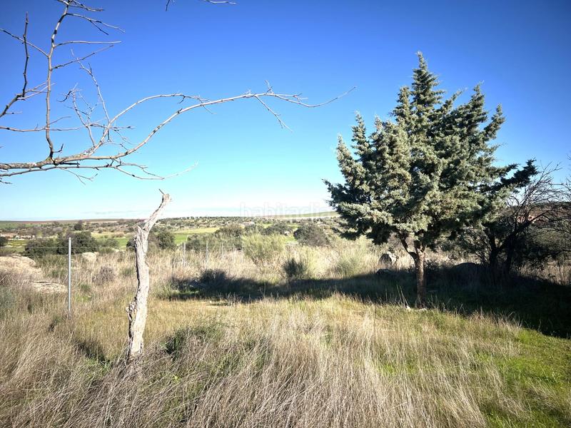 Foto ec85156e-f754-401a-a285-72b256914a80. Chalet en Haba (La)