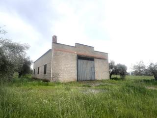 Finca rústica a Don Benito. Parcela con nave en coto perrero don benito