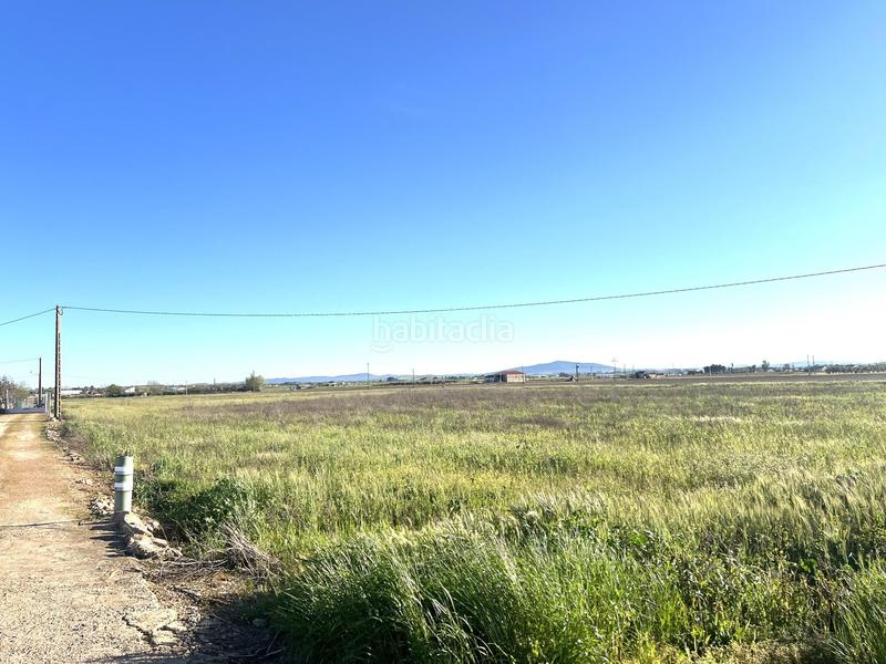 Foto 3d5ce011-7303-4673-81af-f347cb61cfc7. Finca rústica a Don Benito