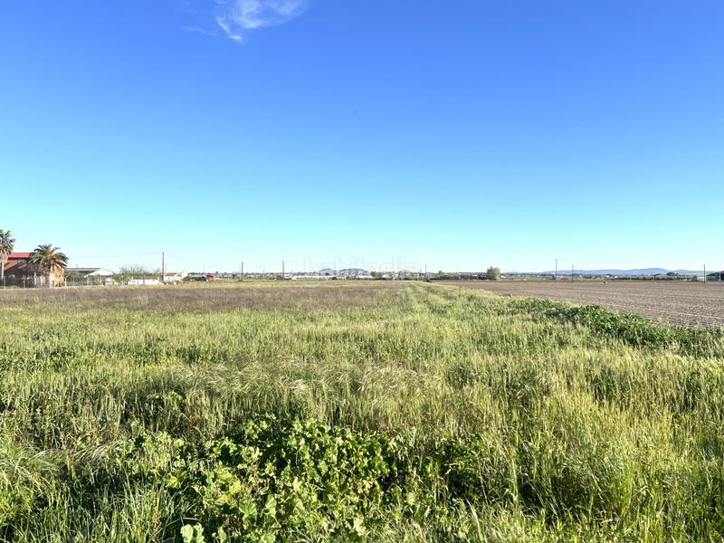 Foto 9c4704b7-9393-4e9b-944e-6339127b367c. Finca rústica a Don Benito