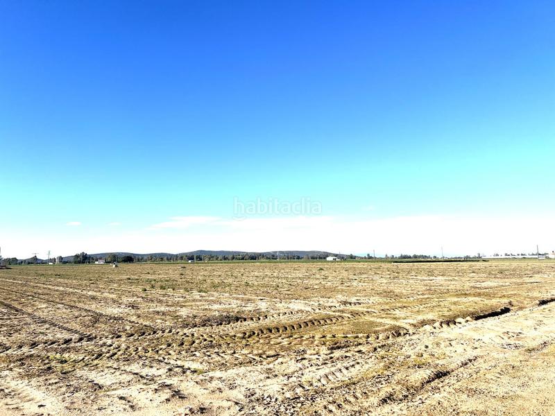 Foto aab69b0c-1d05-44e0-987e-fb60e397f461. Finca rústica a Don Benito