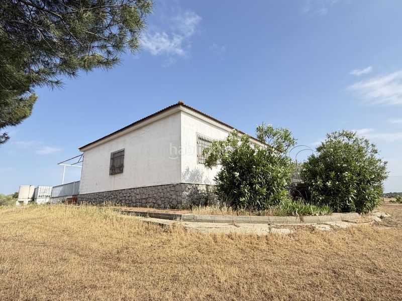 Foto 0c729eb8-3c28-408d-b867-611cdad1bf57. Finca rústica a Haba (La)