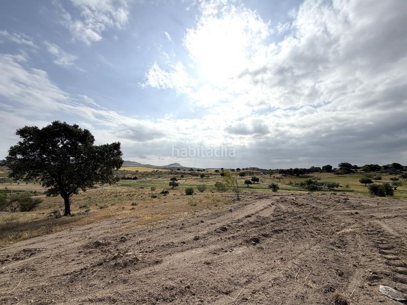 Foto 332d4b88-8230-4b0d-9056-269a8c80b464. Finca rústica a Haba (La)