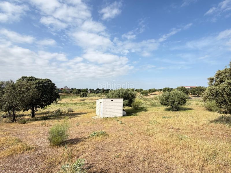 Foto bfd87811-6094-437d-aa72-7fb735f7a38f. Finca rústica a Haba (La)