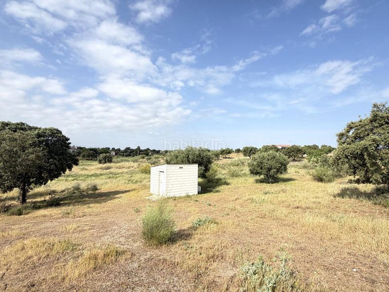Foto dc72c04f-3b07-42e3-9f88-7b9d5b6e80b6. Finca rústica a Haba (La)