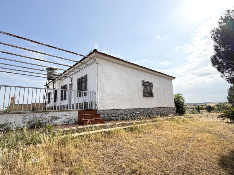 Foto dc75bafc-4ba9-418c-955e-4b03af2c3d9a. Finca rústica a Haba (La)