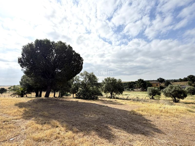 Foto ee1a0bd1-0a4e-44e4-a415-1946ef7f8696. Finca rústica a Haba (La)