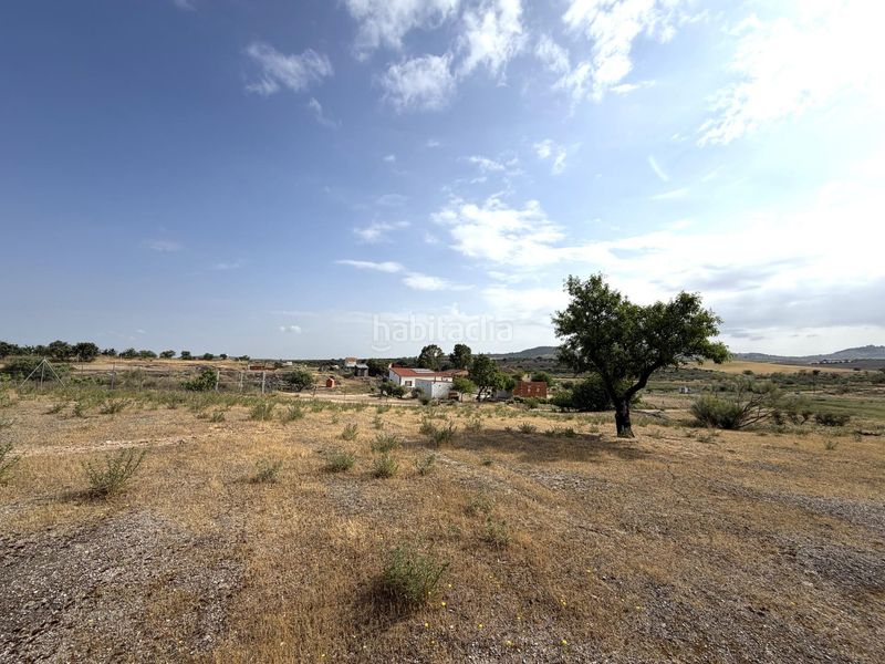 Foto fc2b300b-aa7a-4b99-9fe8-ac4f88190d68. Finca rústica a Haba (La)