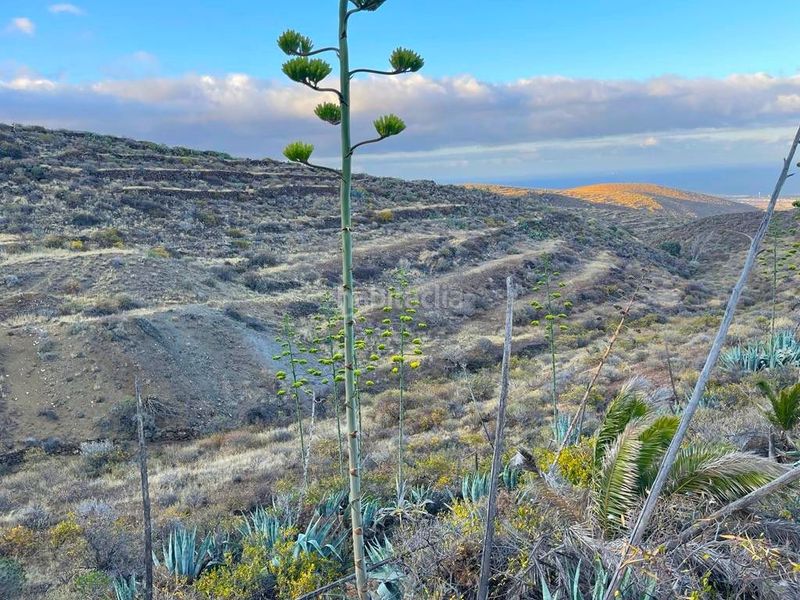 Foto 5159bf05-b7cf-4871-a987-091048a73dd9. Finca rústica a Sequero Ingenio