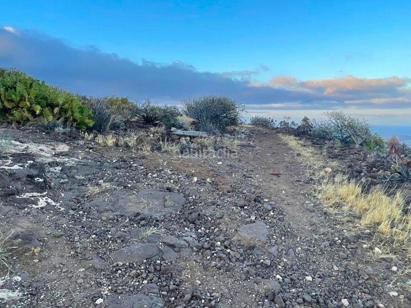 Foto 645c9eb9-858b-40df-a20c-05eb101961ac. Finca rústica a Sequero Ingenio