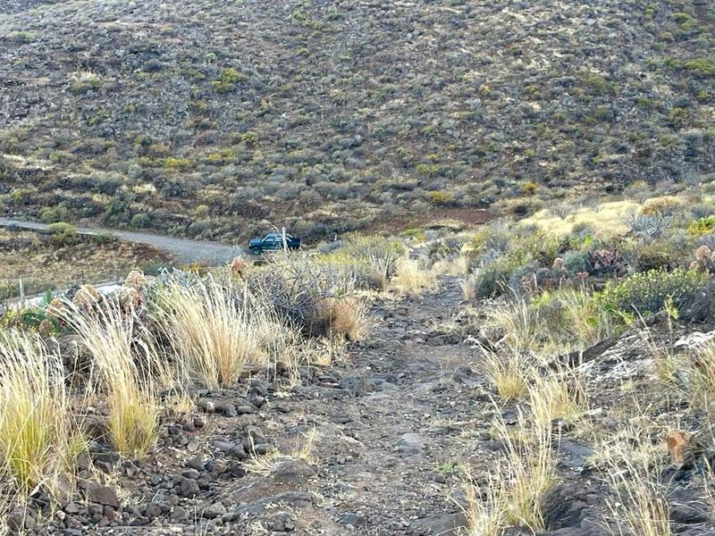 Foto 65b2185c-ab4a-4e9b-ac8b-d031542054ab. Finca rústica a Sequero Ingenio