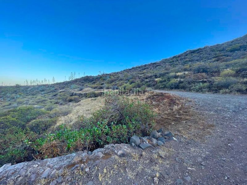 Foto 669b8272-7371-45ce-afdf-1835acae78d1. Finca rústica a Sequero Ingenio