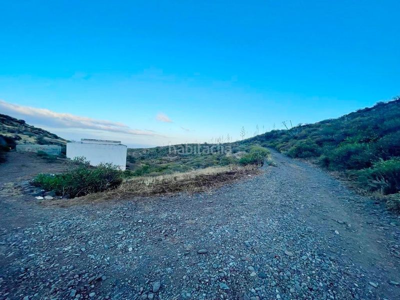 Foto 67ca1aba-564d-43f6-87dd-351482fa15f8. Finca rústica a Sequero Ingenio