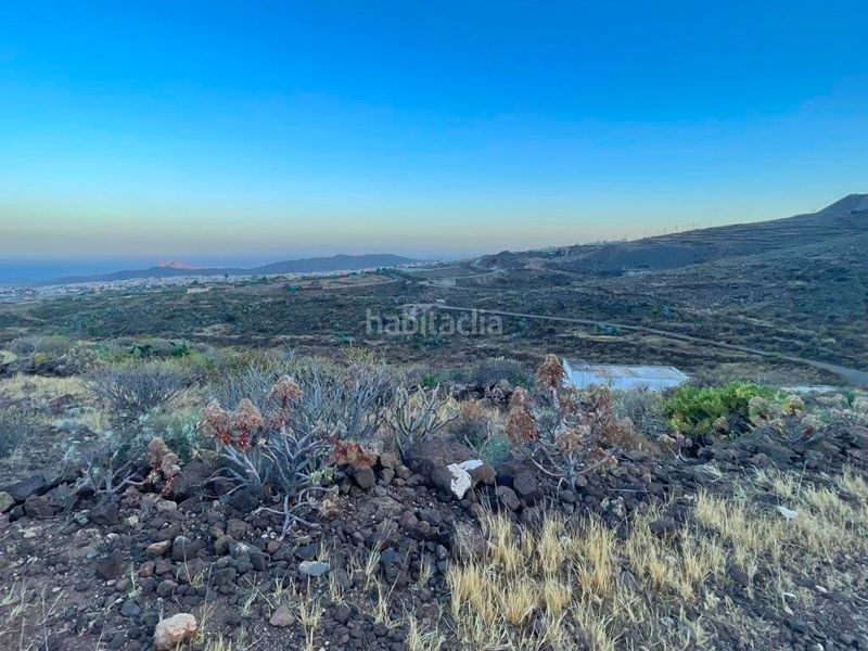 Foto 77a4f7e7-e2bf-43fa-adb4-cb72ea92385d. Finca rústica a Sequero Ingenio