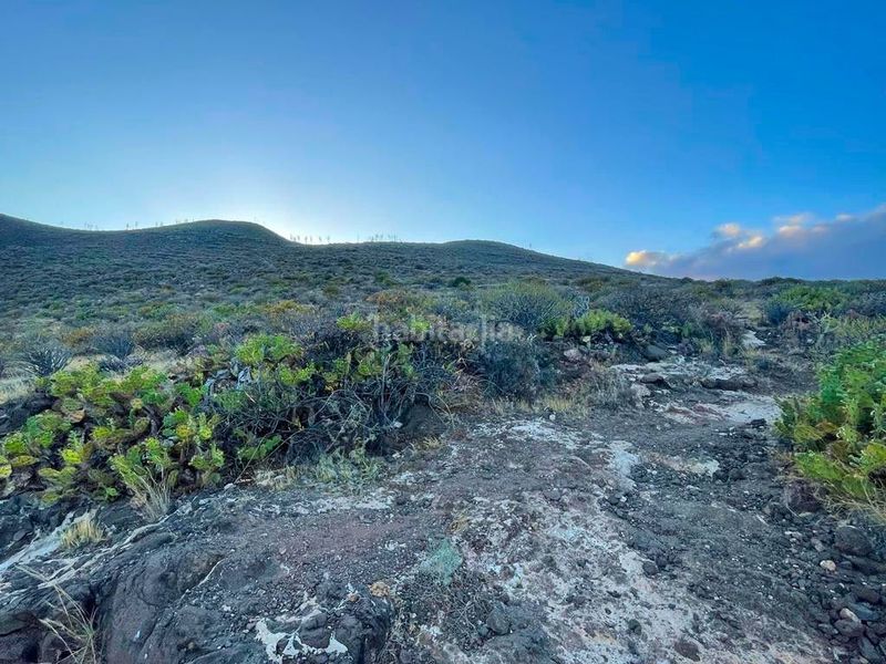 Foto d8fa4bdc-2bec-40b6-bdc4-7c91c05a55eb. Finca rústica a Sequero Ingenio