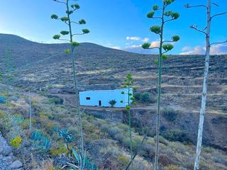 Fondo rustico  Tabuco. Terrenos el tabuco  rosiana  ingenio aguatona