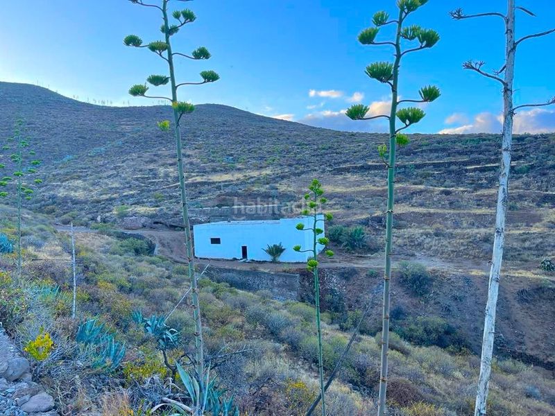 Foto df593652-a08f-4d30-bb62-a33549f5d3a5. Finca rústica a Sequero Ingenio