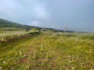Finca rústica  La pasadilla. La pasadillaingenio parcela rústica con permisos