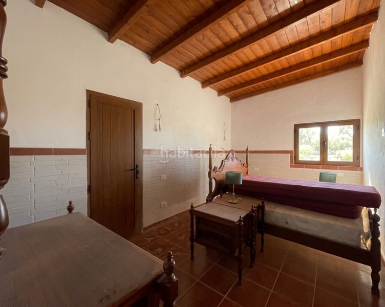 Foto 1053dd1e-bd53-46fc-94ac-d96436ec328a. Finca rústica a Ingenio pueblo Ingenio