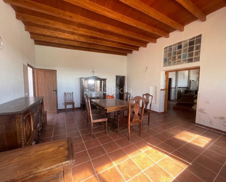 Foto 20bc54b1-afd2-4704-a99d-b1d1da2a922f. Finca rústica a Ingenio pueblo Ingenio