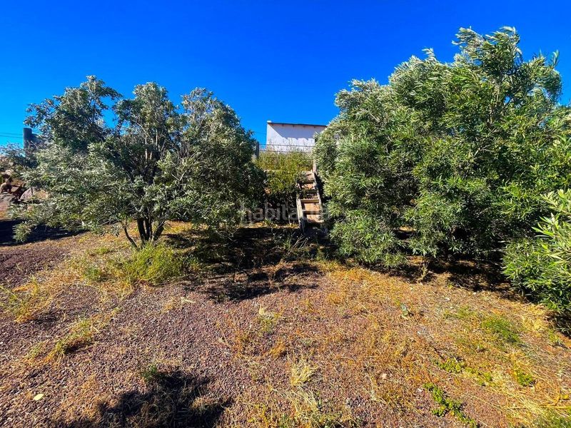Foto 3eedf530-f5e1-43ac-9465-f80d07959122. Finca rústica a Ingenio pueblo Ingenio