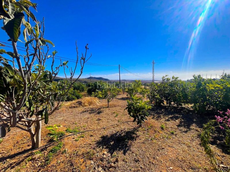 Foto 50fef484-66ac-4bd8-9730-137ec1cf3753. Finca rústica a Ingenio pueblo Ingenio