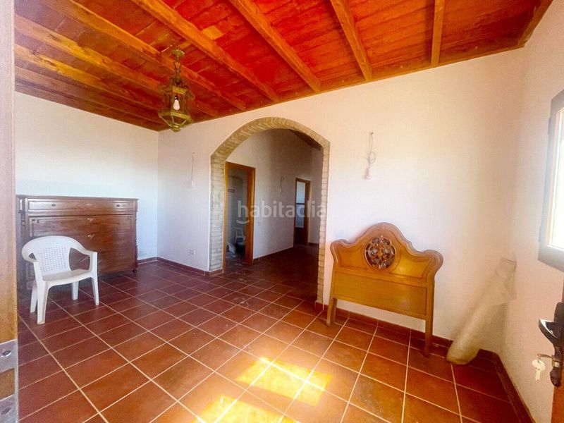 Foto 53d44cae-fdfa-45a0-a843-0fa154a4681a. Finca rústica a Ingenio pueblo Ingenio