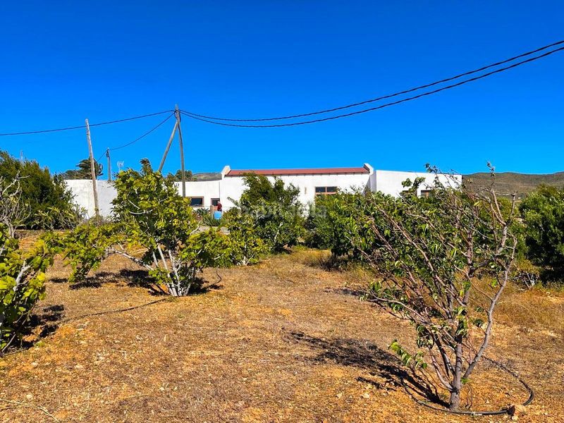 Foto 58f5b082-0f25-4570-84bb-4a1e25fe2eed. Finca rústica a Ingenio pueblo Ingenio