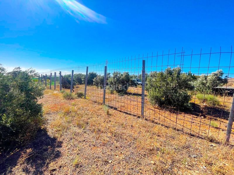 Foto 814178c5-a5e7-42a0-a146-71fd9a9343eb. Finca rústica a Ingenio pueblo Ingenio