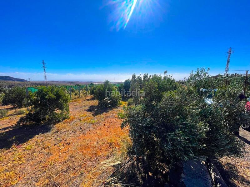 Foto 94d57ff9-42a6-45e9-864b-481d21e7b54d. Finca rústica a Ingenio pueblo Ingenio