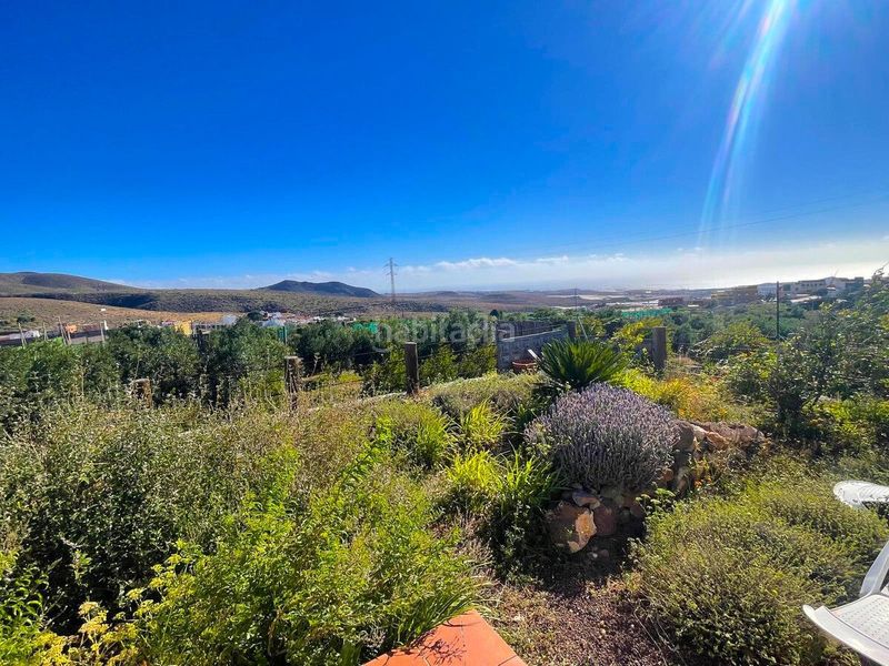 Foto a172441b-7e13-43c6-b006-a76d5975150d. Finca rústica a Ingenio pueblo Ingenio