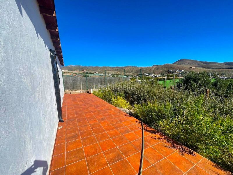 Foto d217c5f8-7864-4860-bfee-5e79bb0c8c38. Finca rústica a Ingenio pueblo Ingenio